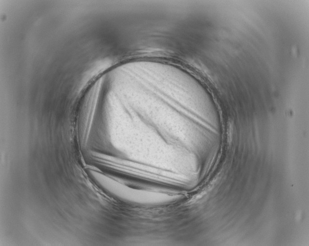 X0000088091405200706011552