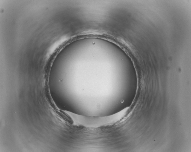 X0000088091406200706011552