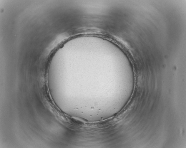 X0000088091407200706011552