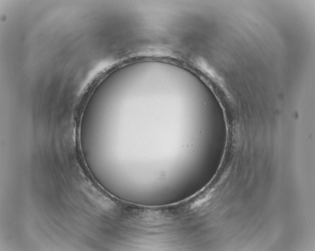 X0000088091408200706011552