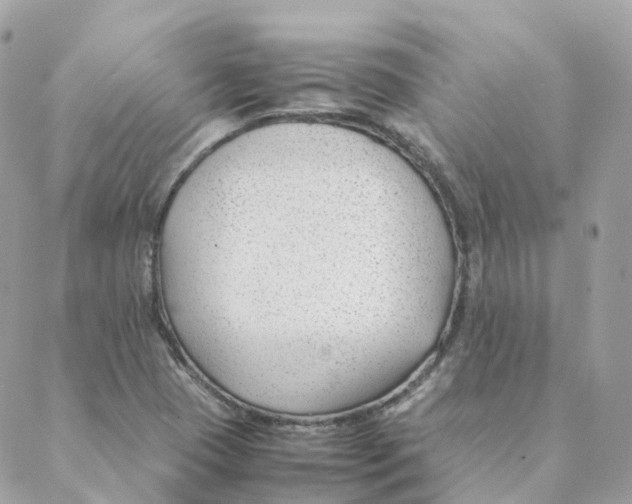 X0000088091409200706011552