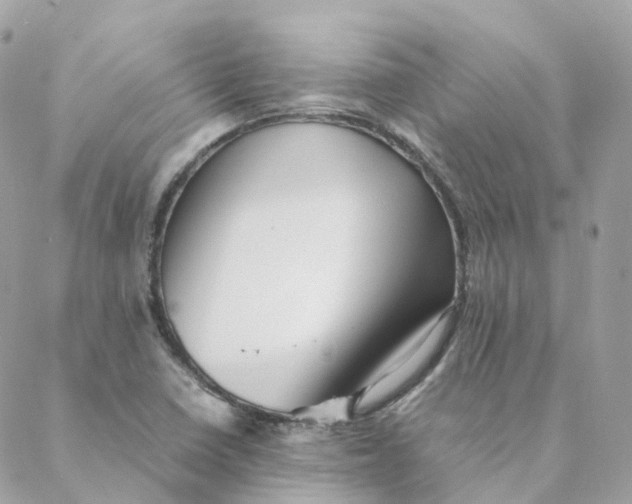 X0000088091410200706011552