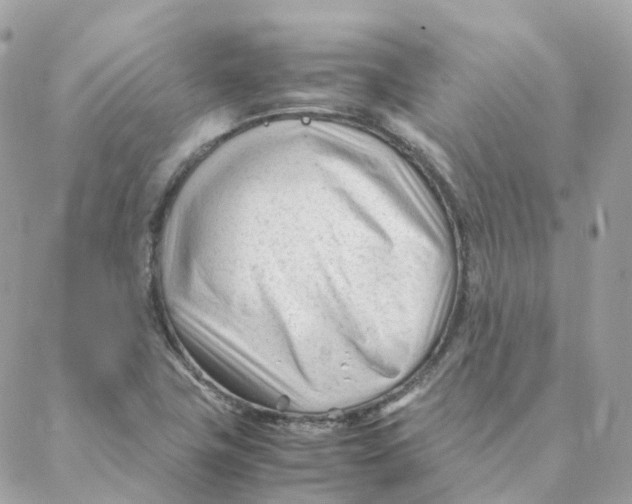 X0000088091411200706011552