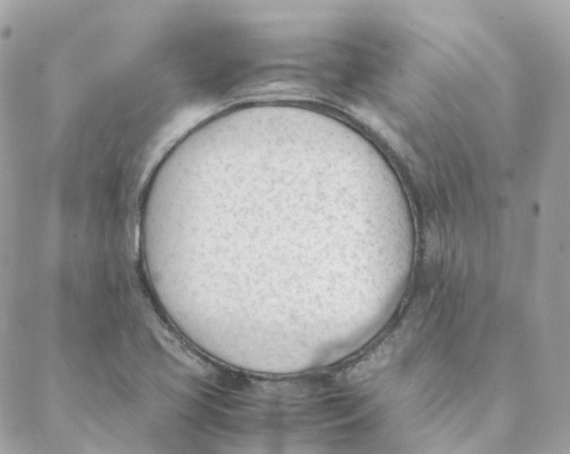 X0000088091413200706011552