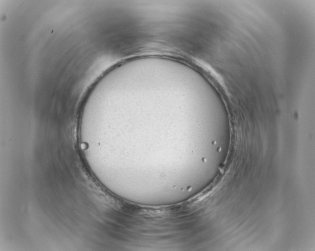 X0000088091415200706011552