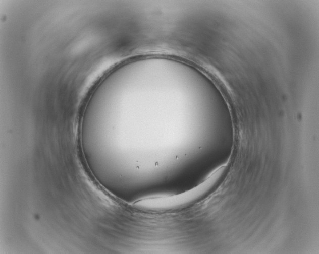 X0000088091416200706011552