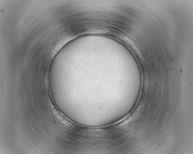 X0000088091417200706011552