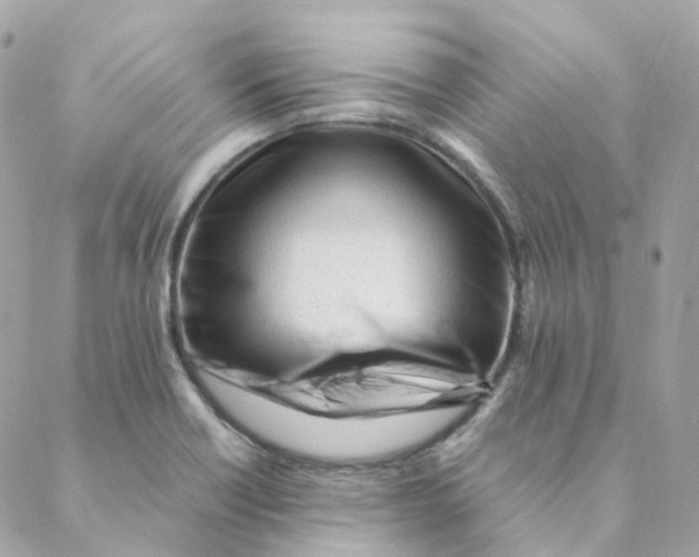 X0000088091418200706011552