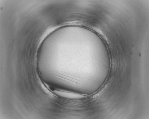 X0000088091421200706011552