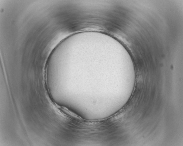 X0000088091423200706011552