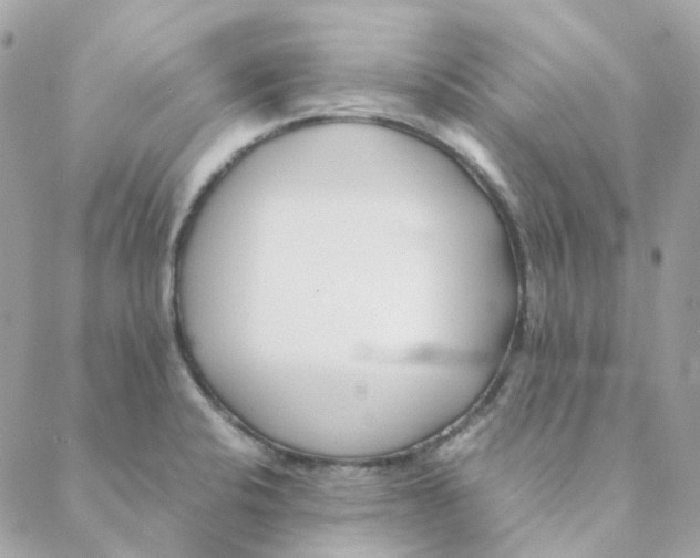 X0000088091424200706011552