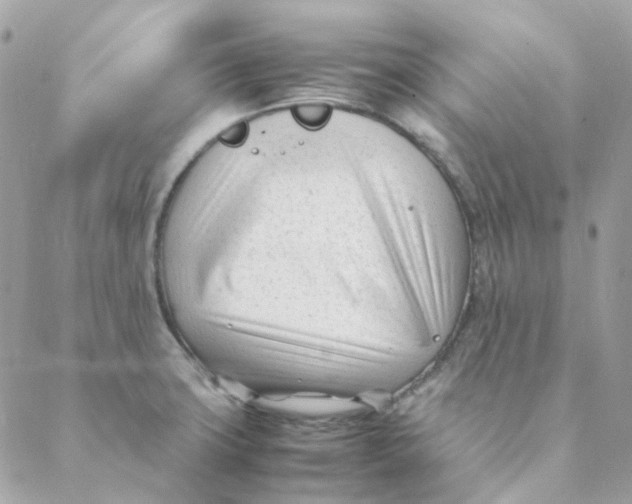 X0000088091427200706011552