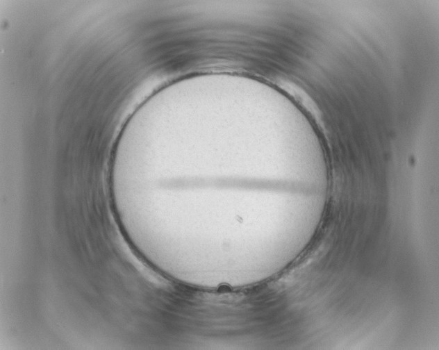 X0000088091429200706011552