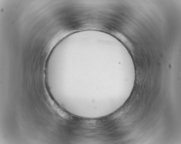 X0000088091431200706011552