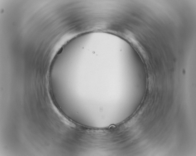 X0000088091432200706011552