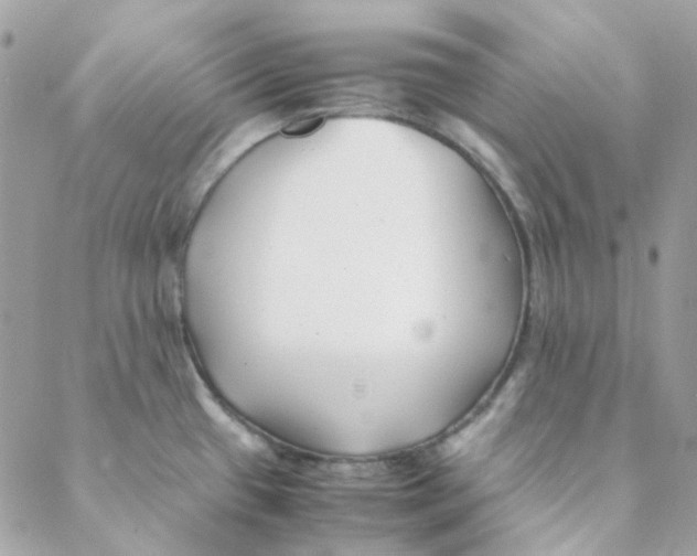 X0000088091433200706011552