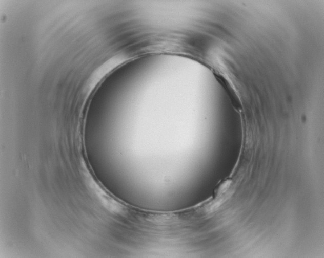 X0000088091434200706011552