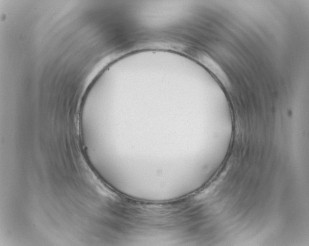 X0000088091436200706011552