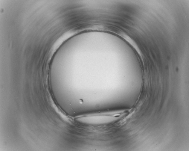 X0000088091437200706011552