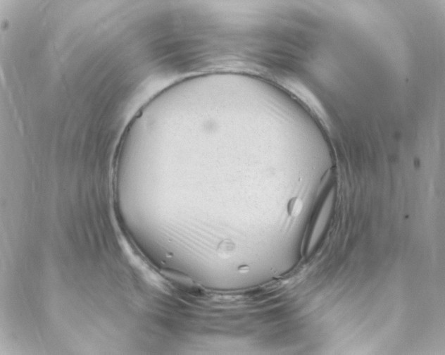 X0000088091439200706011552