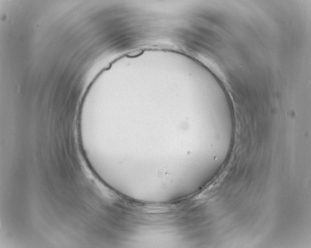 X0000088091440200706011552