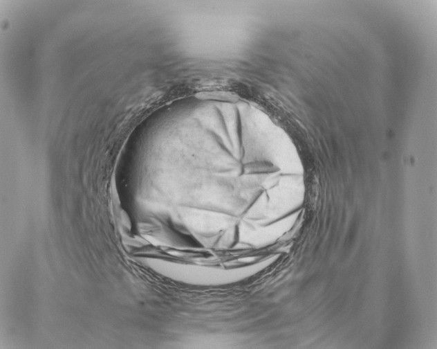 X0000088091441200706011552