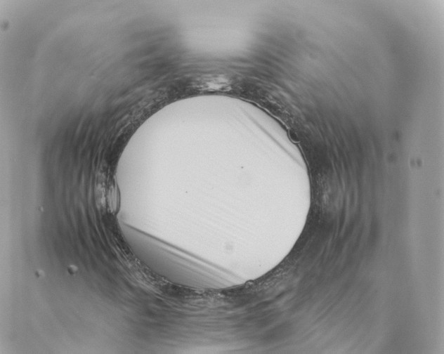 X0000088091442200706011552