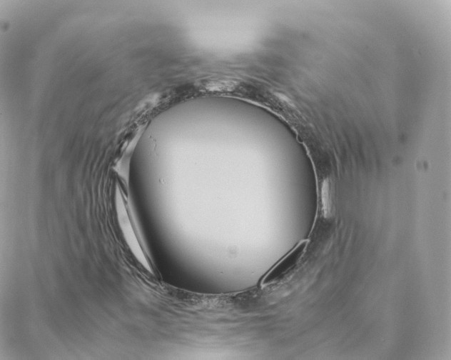 X0000088091443200706011552