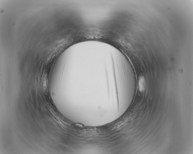 X0000088091444200706011552