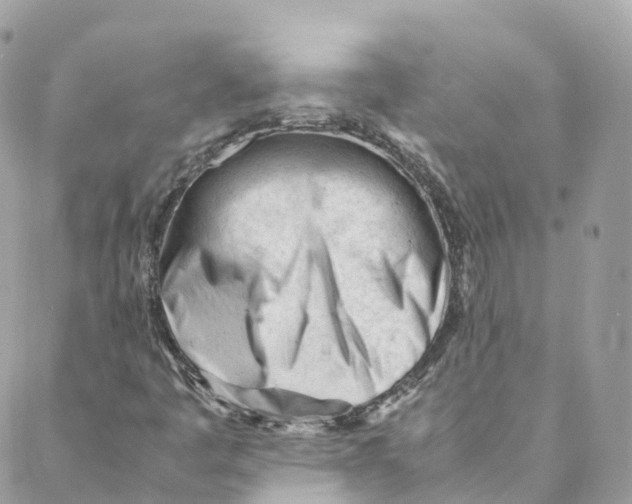 X0000088091445200706011552