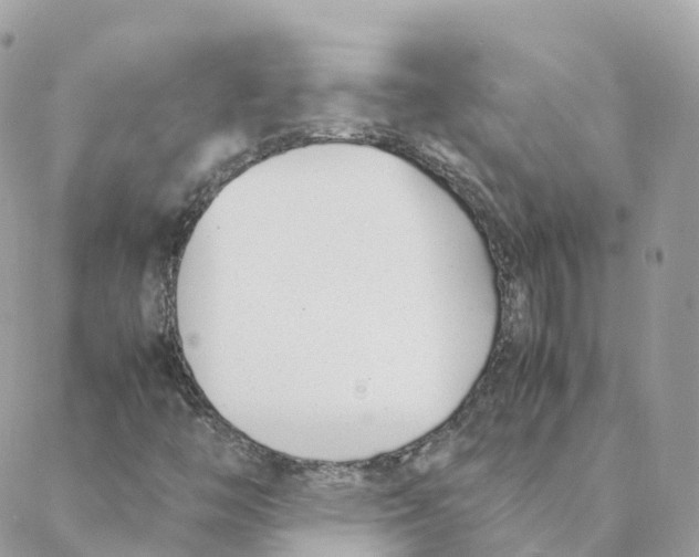 X0000088091446200706011552