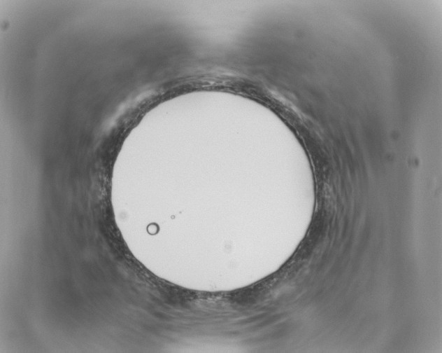 X0000088091447200706011552