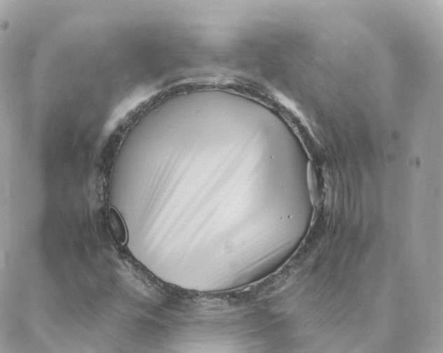 X0000088091448200706011552