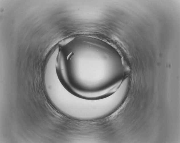 X0000088091449200706011552