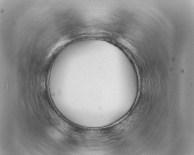 X0000088091451200706011552