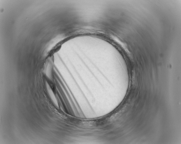 X0000088091453200706011551