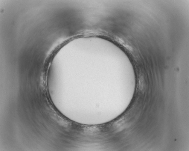 X0000088091454200706011551