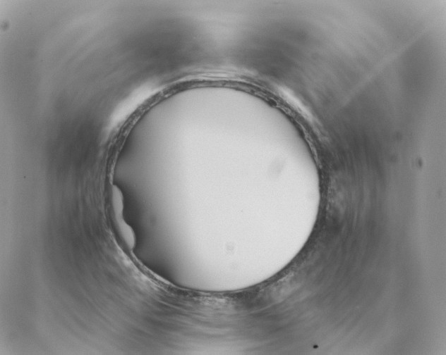 X0000088091456200706011551