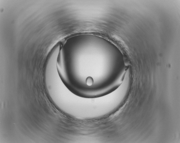 X0000088091457200706011551