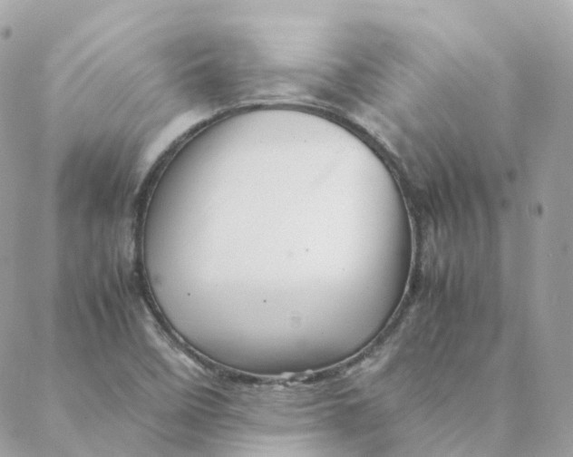 X0000088091458200706011551