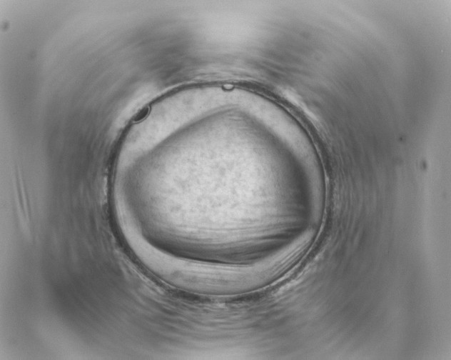 X0000088091459200706011551