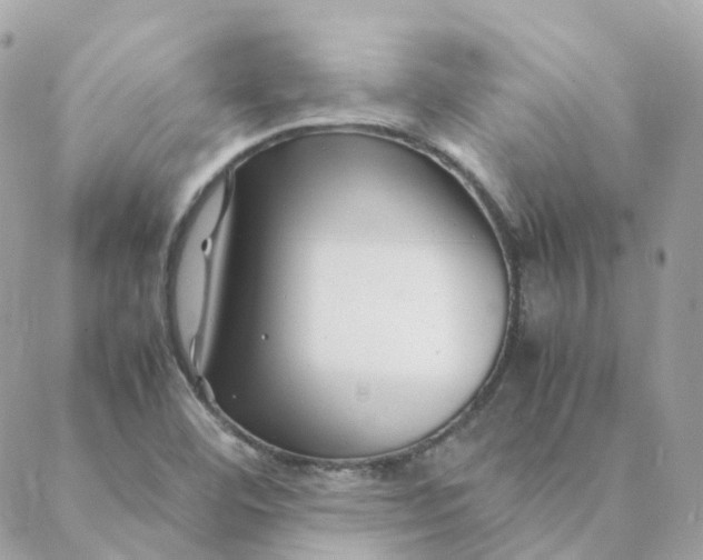 X0000088091460200706011551