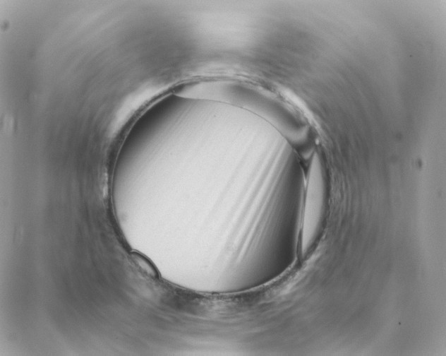 X0000088091461200706011551