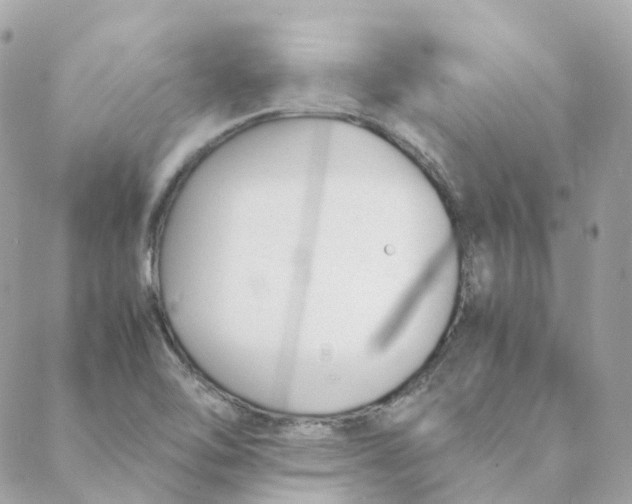 X0000088091462200706011551