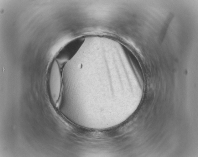 X0000088091463200706011551