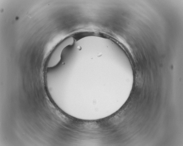 X0000088091464200706011551