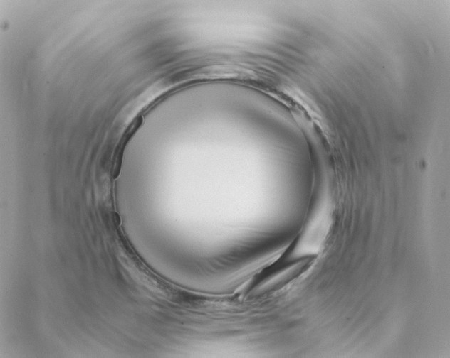 X0000088091465200706011551