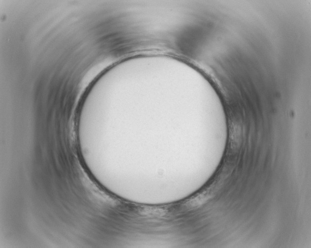 X0000088091466200706011551