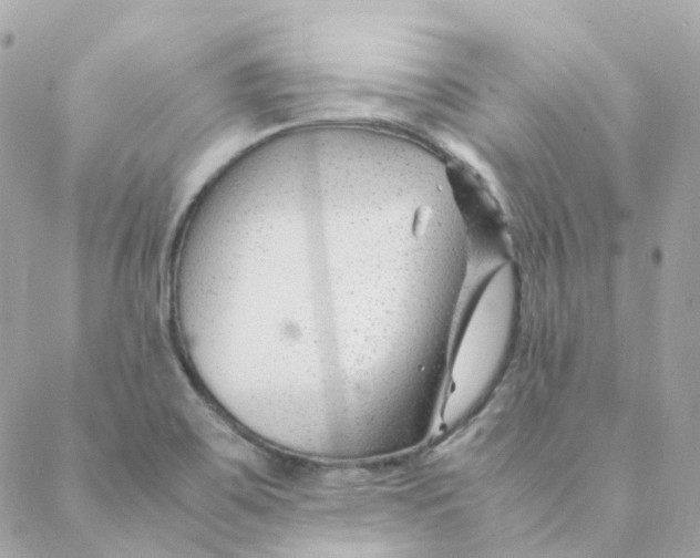 X0000088091467200706011551