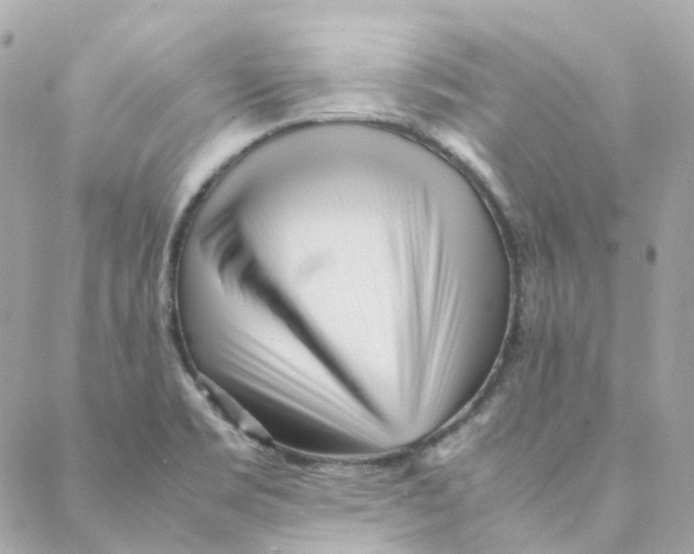 X0000088091469200706011551